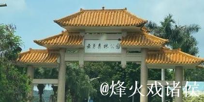 青青草乐园：打造属于你的绿色梦想天地